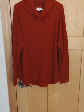 Time and Tru Red Cowl Neck Sweater